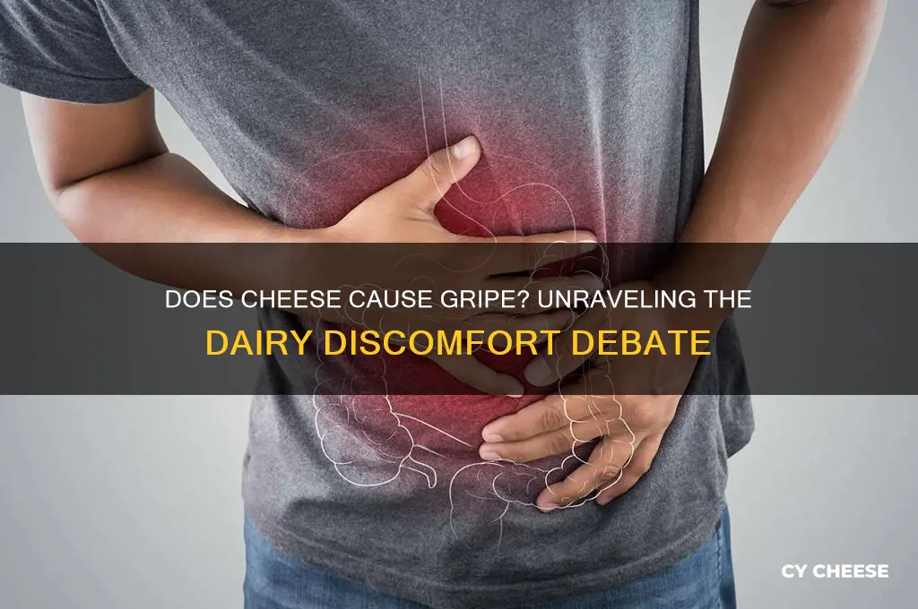 does cheese gripe