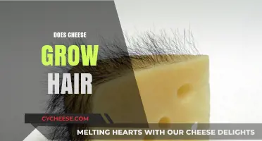 Can Cheese Boost Hair Growth? Separating Fact from Fiction