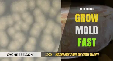 How Quickly Does Cheese Mold? Factors Affecting Growth and Prevention