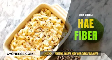 Does Cheese Have Fiber? Uncovering the Truth About Dairy Nutrition