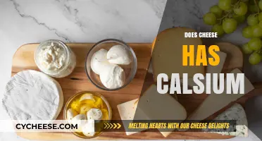 Does Cheese Contain Calcium? Uncovering the Nutritional Truth