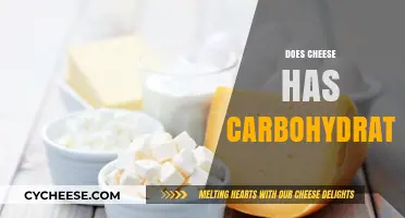 Does Cheese Contain Carbs? Unraveling the Carbohydrate Mystery in Cheese