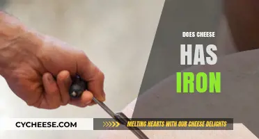 Does Cheese Contain Iron? Uncovering the Nutritional Facts