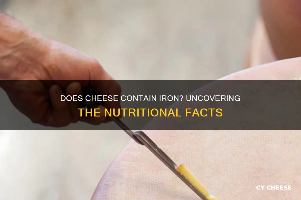 does cheese has iron