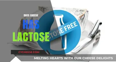 Does Cheese Contain Lactose? Unraveling the Dairy Dilemma