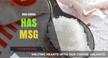 Does Cheese Contain MSG? Uncovering the Truth About Hidden Additives
