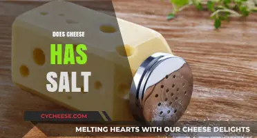 Does Cheese Contain Salt? Uncovering the Truth About Cheese and Sodium
