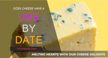 Cheese's Shelf Life: How Long Does it Last?