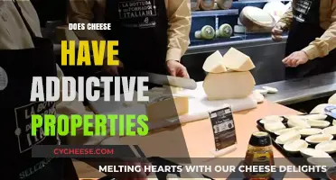 Is Cheese Addictive? Exploring the Science Behind Dairy Cravings