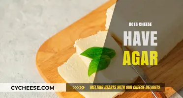 Does Cheese Contain Agar? Unraveling the Truth Behind This Common Myth
