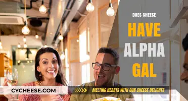 Does Cheese Contain Alpha Gal? Uncovering the Truth for Allergy Sufferers