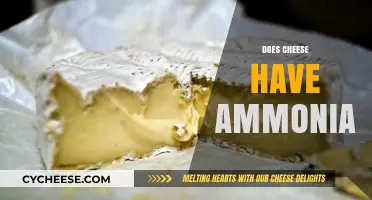 Does Cheese Contain Ammonia? Uncovering the Truth Behind the Rumor