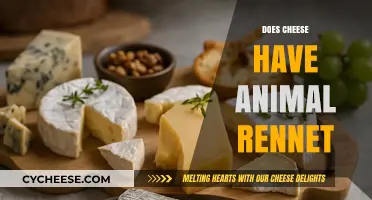 Does Cheese Contain Animal Rennet? Uncovering the Truth Behind Cheese Production