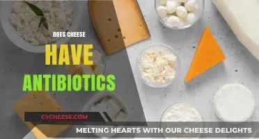 Does Cheese Contain Antibiotics? Uncovering the Truth About Dairy and Meds