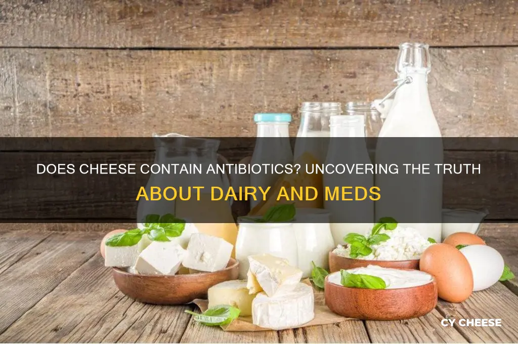 does cheese have antibiotics