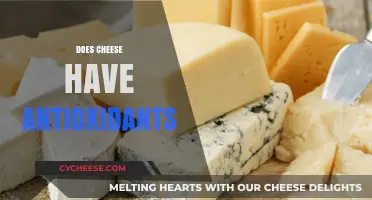 Cheese and Antioxidants: Unveiling the Surprising Health Benefits