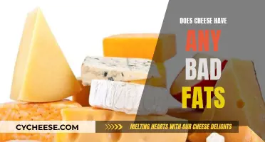 Cheese and Bad Fats: What's the Truth?