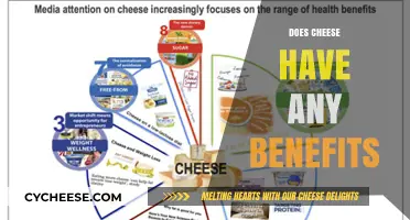 Cheese Benefits: Surprising Health Advantages of This Dairy Delight