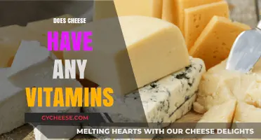 Cheese Nutrition: Uncovering the Vitamin Content in Your Favorite Dairy