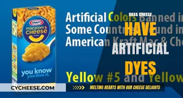 Does Cheese Contain Artificial Dyes? Uncovering the Truth Behind the Color