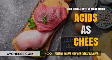 Cheese vs. Chees: Comparing Amino Acid Content in Dairy Products