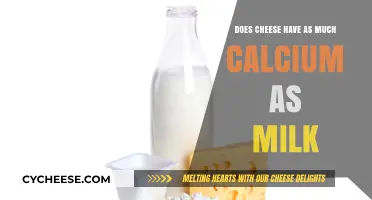 Cheese vs. Milk: Which Calcium Source Reigns Supreme?
