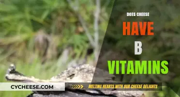 Cheese and B Vitamins: Uncovering Nutritional Benefits and Facts