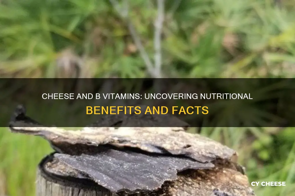 does cheese have b vitamins