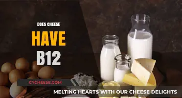 Does Cheese Have B12? Uncovering the Truth About Dairy and Vitamin B12