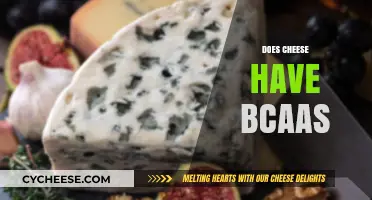 Does Cheese Contain BCAAs? Unlocking the Protein Power in Dairy