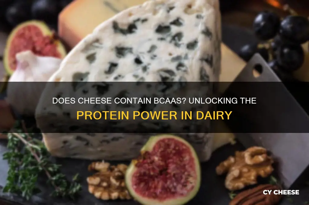 does cheese have bcaas