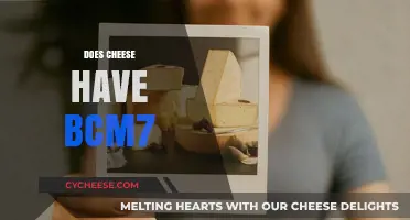 Does Cheese Contain BCM-7? Unraveling the Truth About This Protein