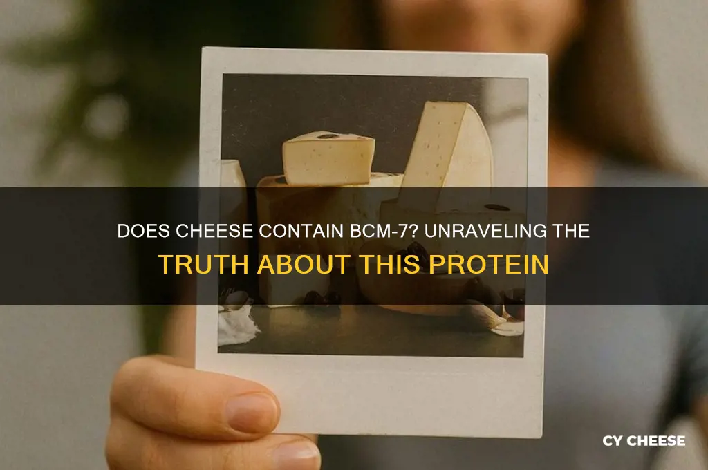 does cheese have bcm7