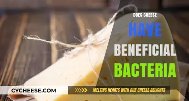 Cheese's Hidden Benefits: Exploring the Role of Beneficial Bacteria