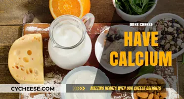 Does Cheese Have Calcium? Uncovering the Truth About Dairy Nutrition