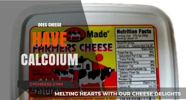 Does Cheese Have Calcium? Uncovering the Truth About Dairy Nutrition
