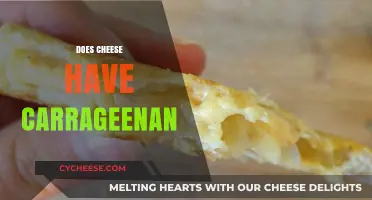 Does Cheese Contain Carrageenan? Uncovering the Truth About Ingredients