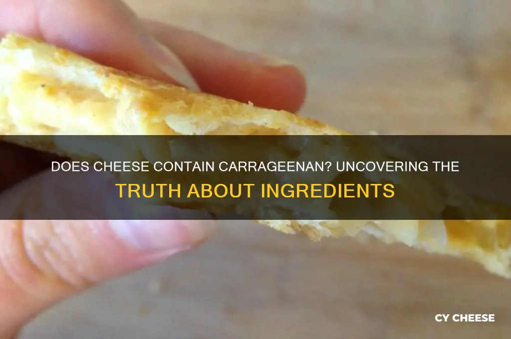 does cheese have carrageenan
