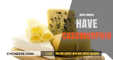 Does Cheese Contain Casomorphin? Uncovering the Truth About This Dairy Compound