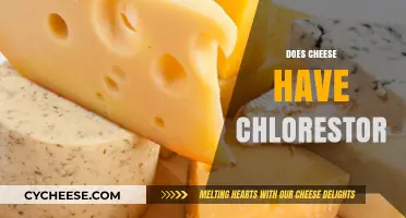 Does Cheese Increase Cholesterol? Uncovering the Truth About Dairy and Health