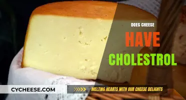 Does Cheese Have Cholesterol? Uncovering the Truth About Dairy Fats