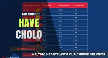 Does Cheese Contain Cholesterol? Unraveling the Dairy Dilemma