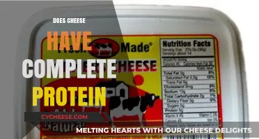 Is Cheese a Complete Protein Source? Uncovering Nutritional Facts