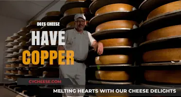 Does Cheese Contain Copper? Uncovering the Surprising Nutritional Facts