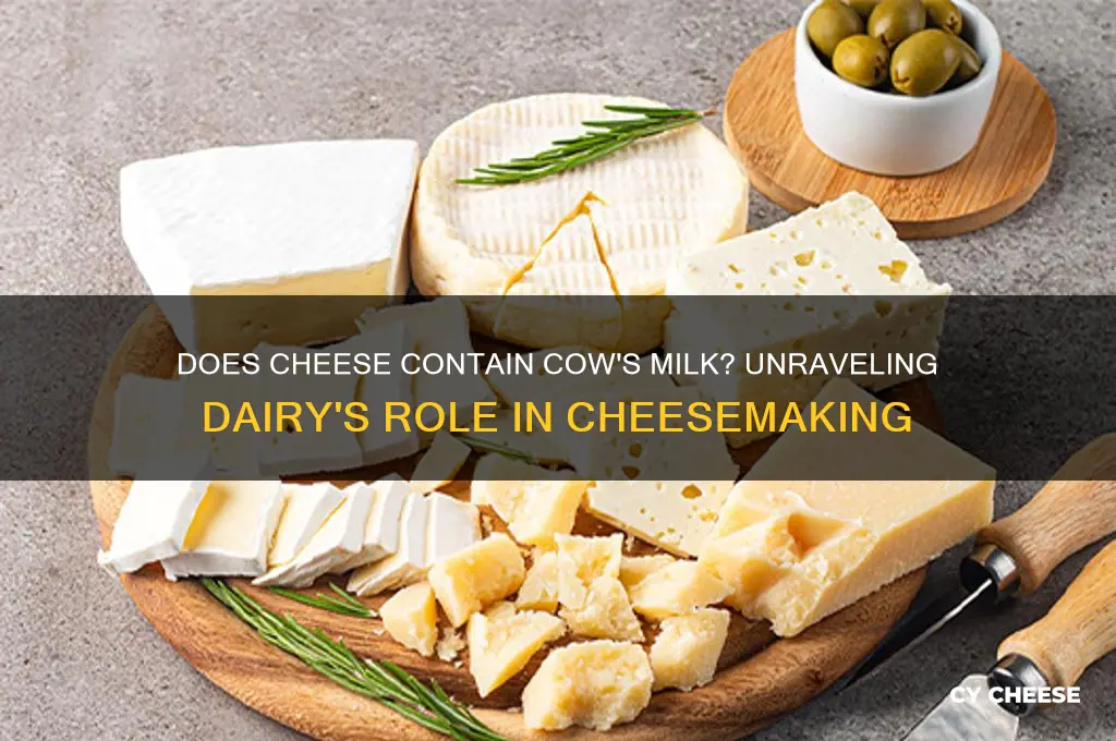 does cheese have cows milk