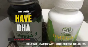 Does Cheese Contain DHA? Uncovering the Truth About Cheese Nutrition