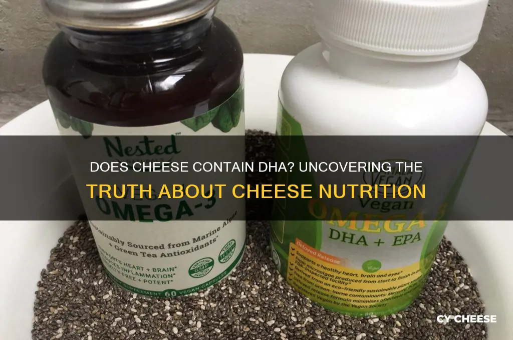 does cheese have dha