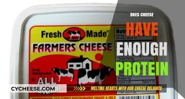 Does Cheese Pack Enough Protein? Uncovering Its Nutritional Value