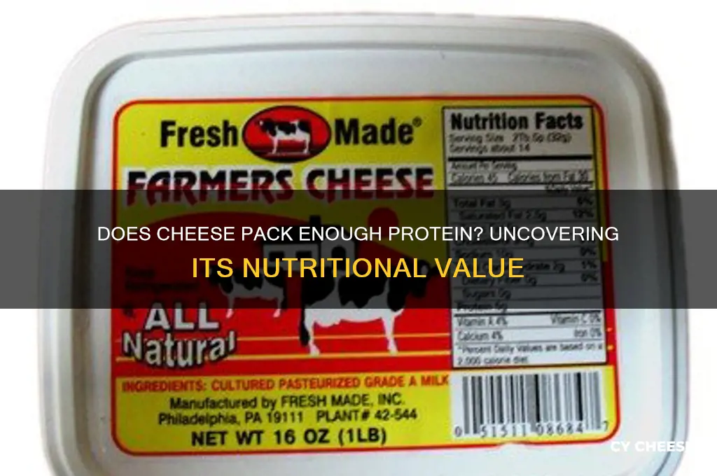 does cheese have enough protein