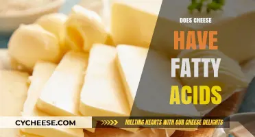 Cheese and Fatty Acids: Uncovering the Nutritional Truth
